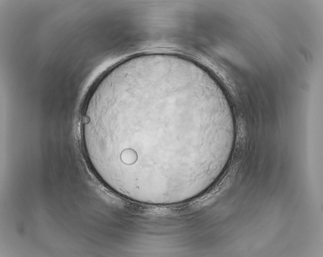 X0000110681462200907241033