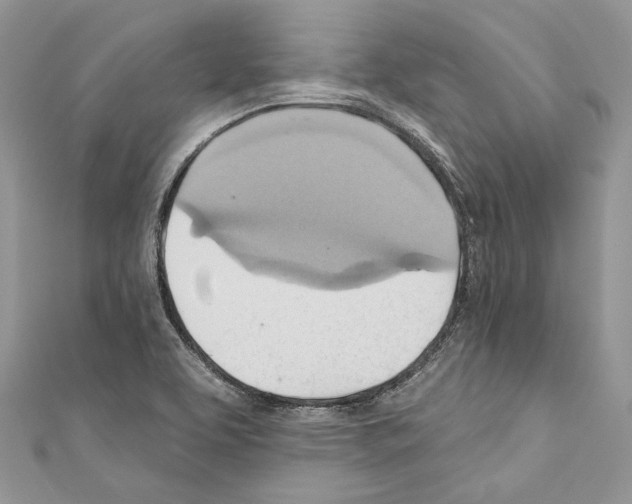 X0000110681463200907241033