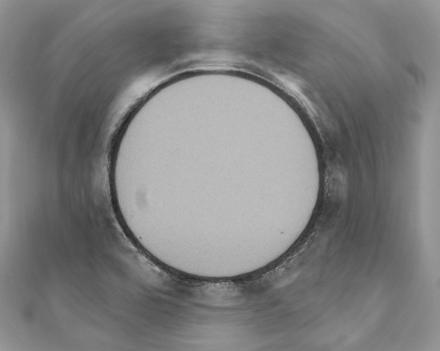 X0000110681464200907241033