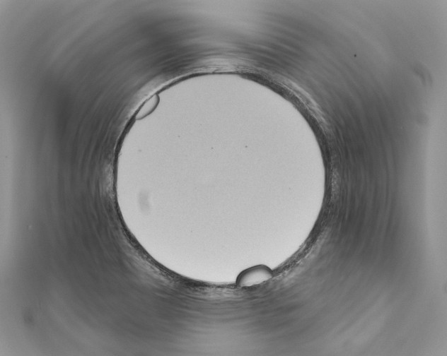 X0000110681465200907241033