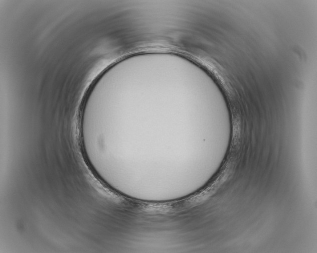 X0000110681466200907241033