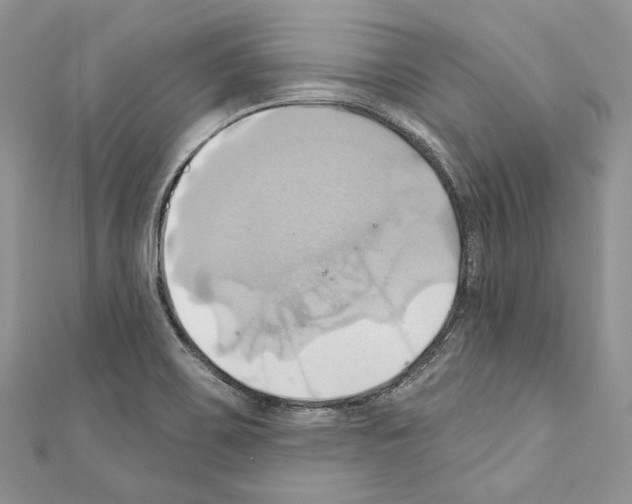 X0000110681467200907241033