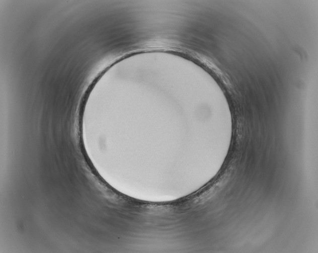 X0000110681469200907241033