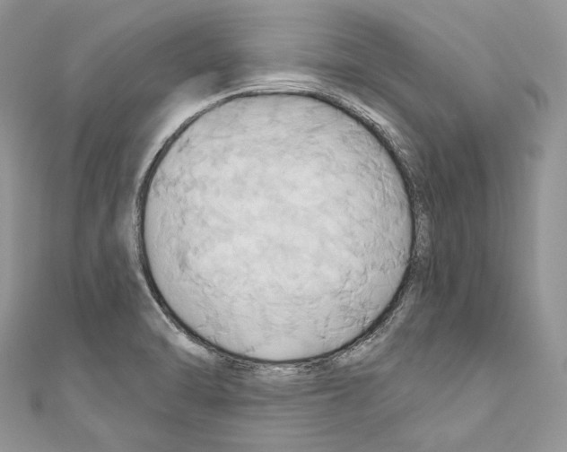 X0000110681470200907241033