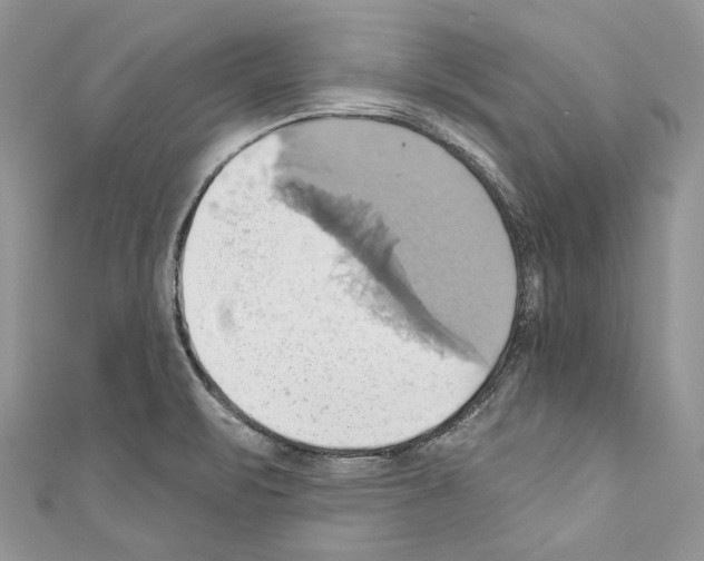 X0000110681471200907241033