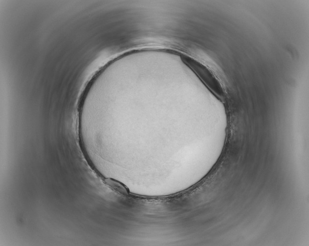 X0000110681472200907241033