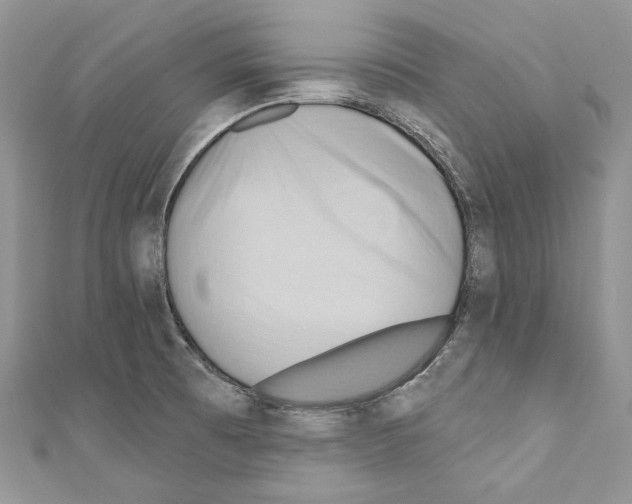 X0000110681473200907241033