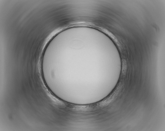 X0000110681474200907241033