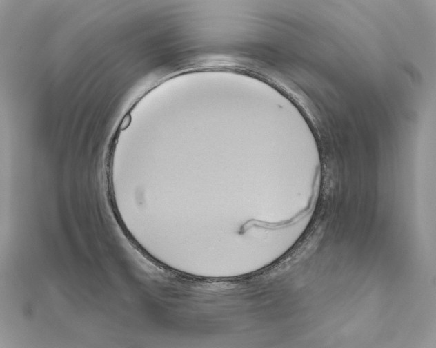 X0000110681475200907241033