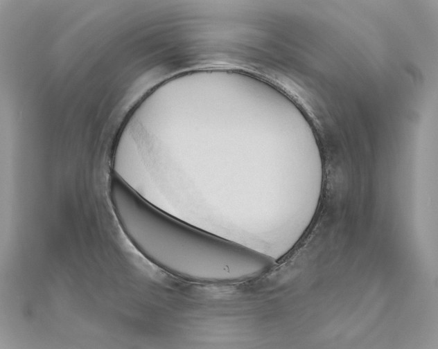X0000110681476200907241033