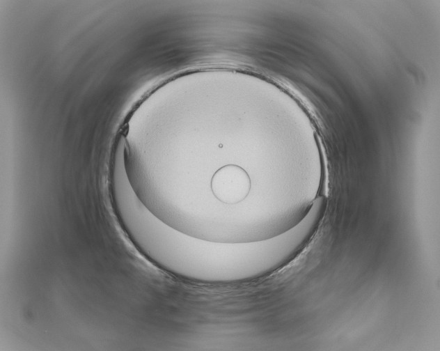 X0000110681477200907241033