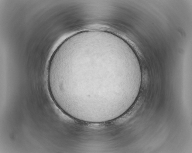 X0000110681478200907241033