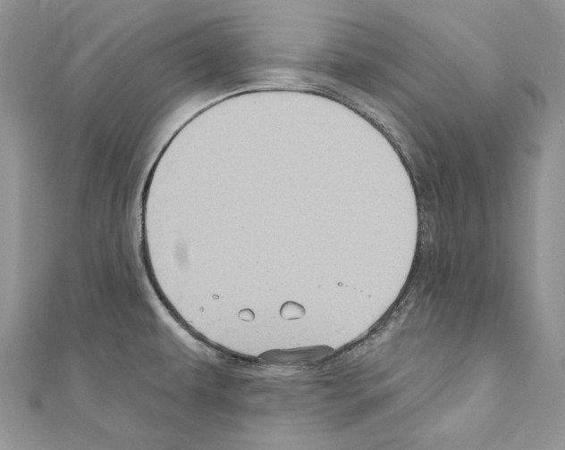 X0000110681479200907241033