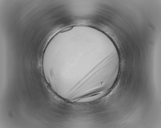 X0000110681481200907241033