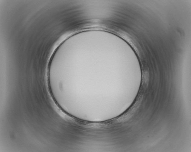 X0000110681482200907241033