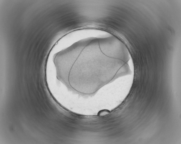 X0000110681483200907241033