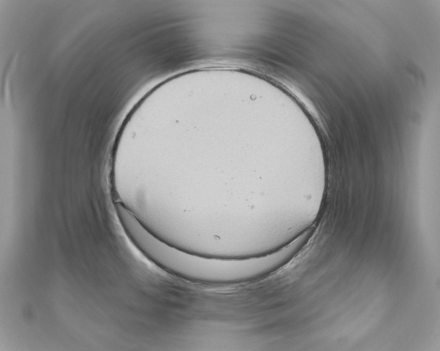 X0000110681484200907241033
