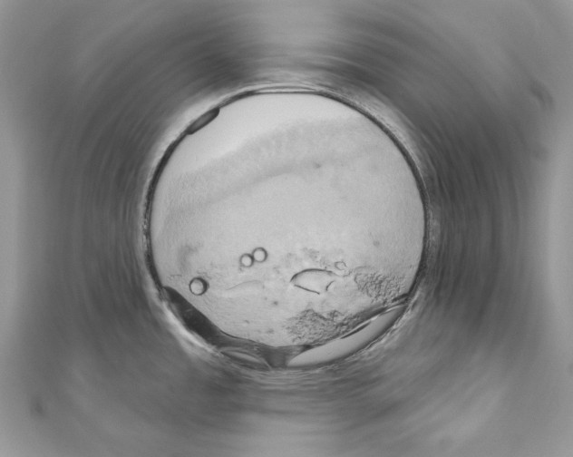 X0000110681485200907241033