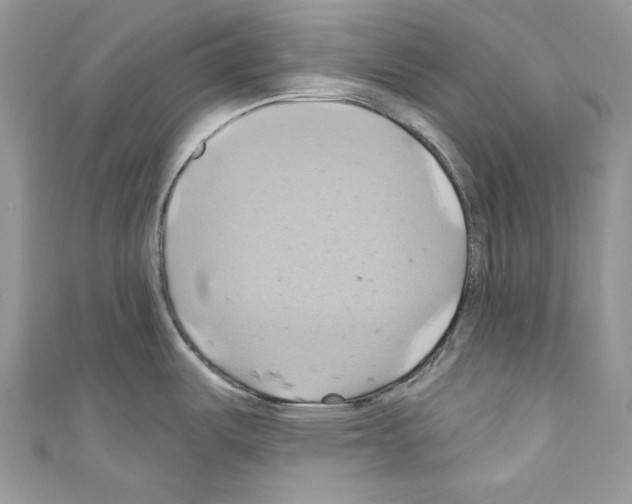 X0000110681487200907241033