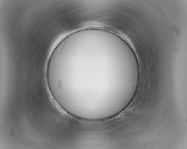 X0000110681488200907241033