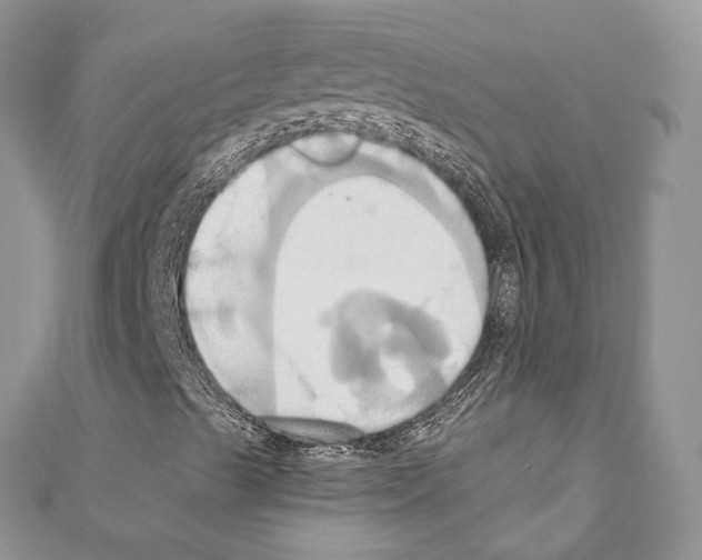 X0000110681489200907241032