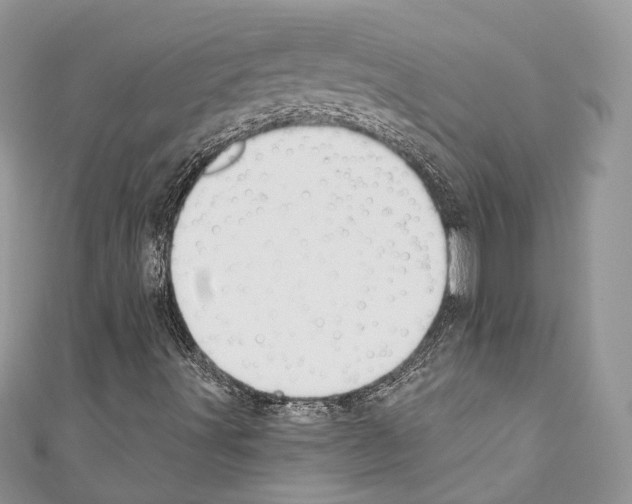 X0000110681491200907241032