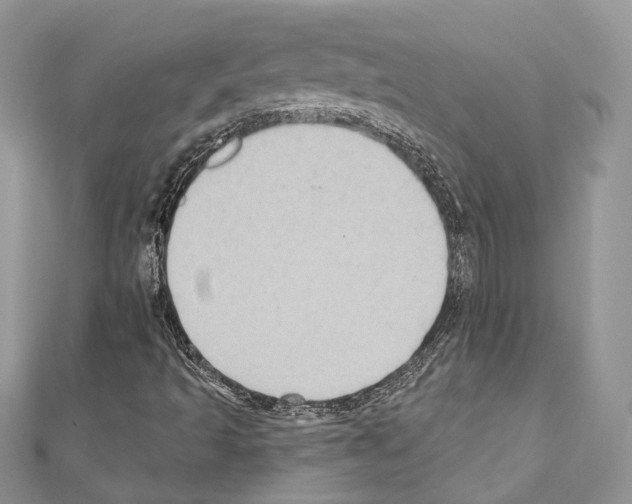 X0000110681493200907241032