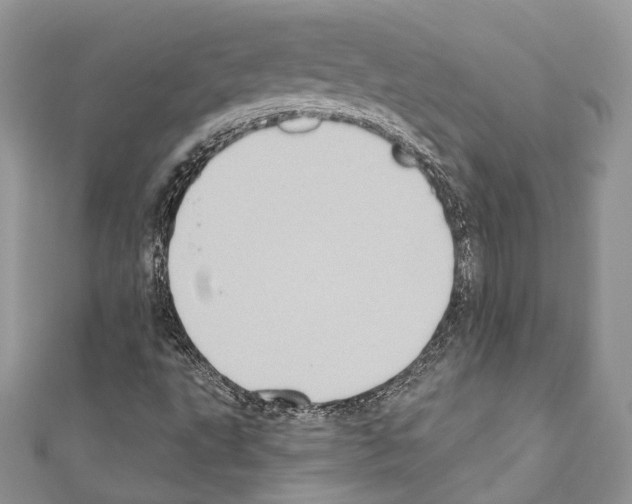 X0000110681495200907241032