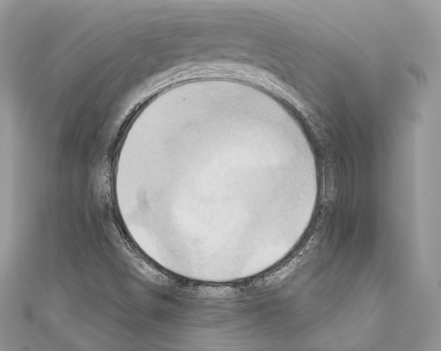 X0000110681498200907241032