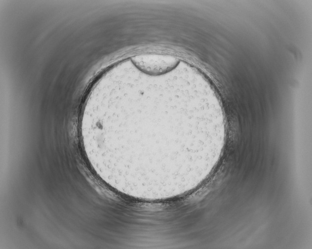 X0000110681499200907241032