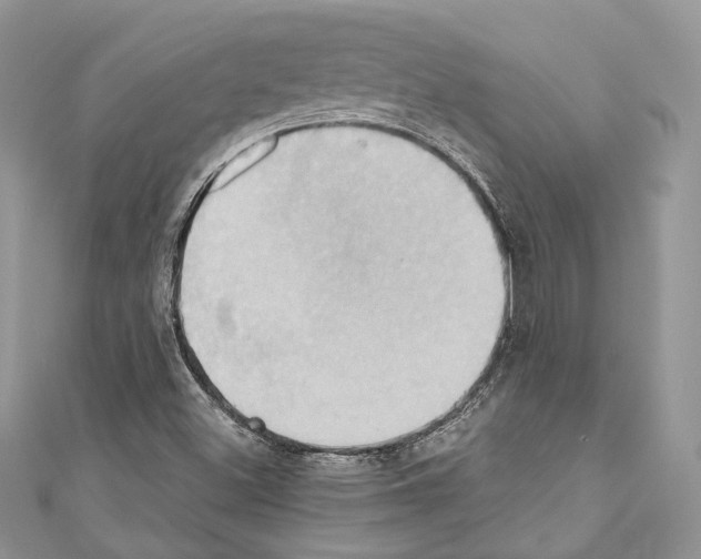 X0000110681500200907241032