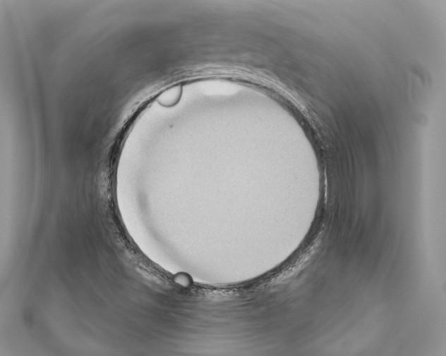 X0000110681501200907241033