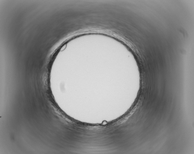 X0000110681502200907241033