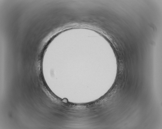 X0000110681503200907241033