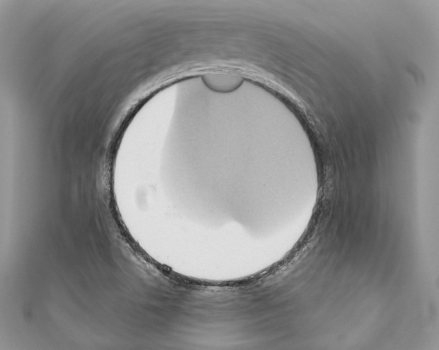 X0000110681506200907241033