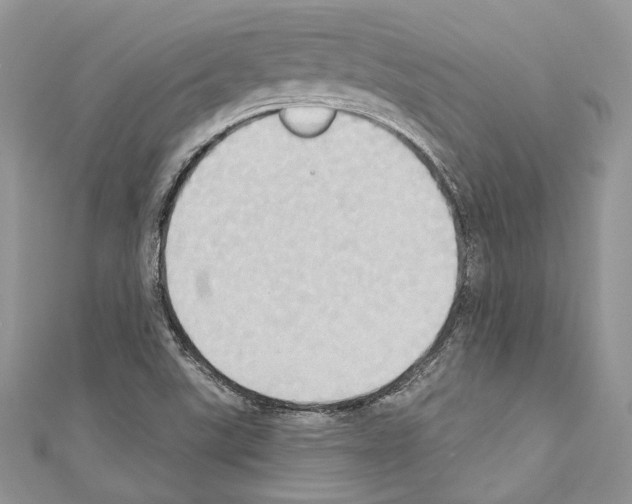 X0000110681507200907241033