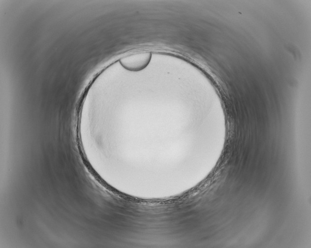 X0000110681508200907241033