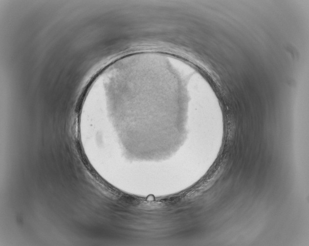 X0000110681509200907241033