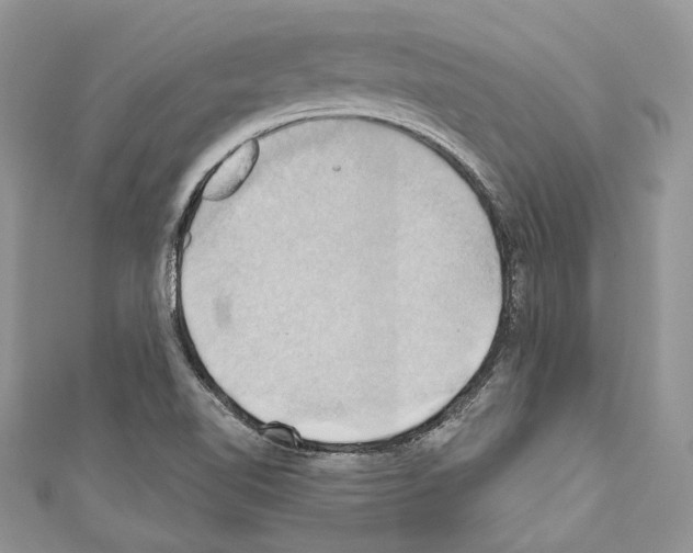 X0000110681510200907241033