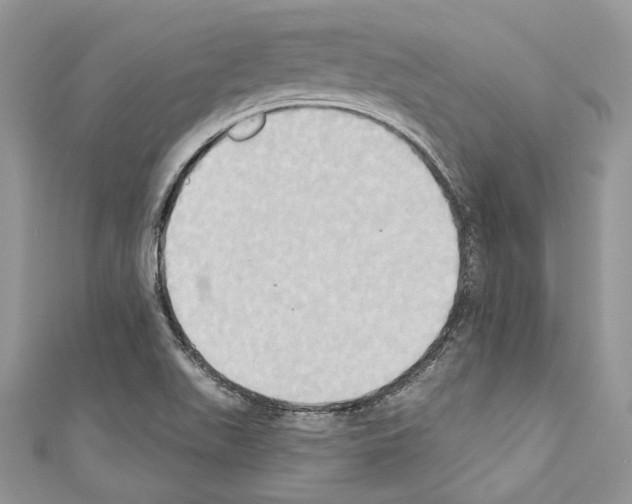 X0000110681511200907241033