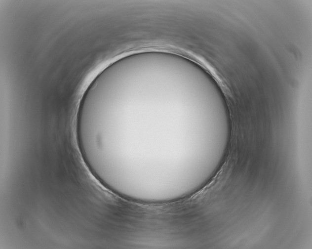 X0000110681512200907241033