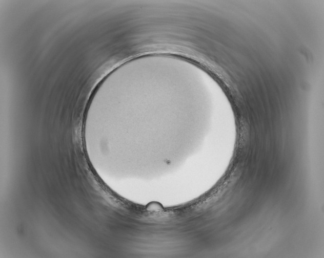 X0000110681513200907241033