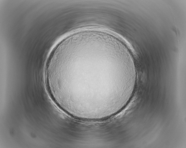 X0000110681514200907241033
