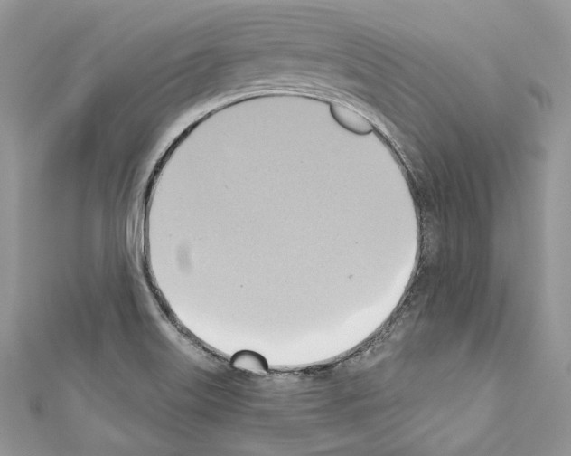 X0000110681515200907241033