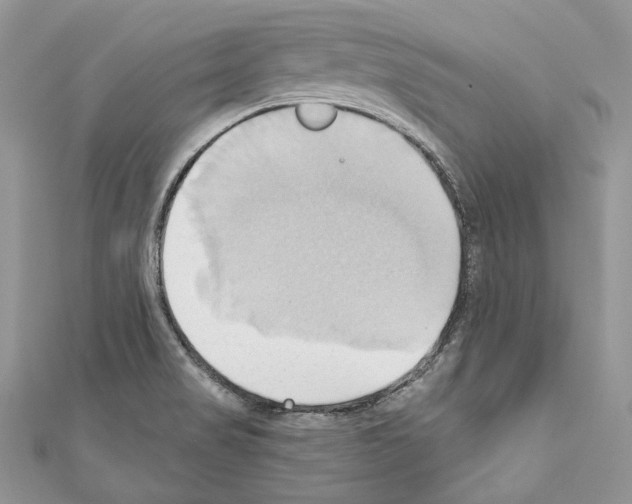 X0000110681517200907241033