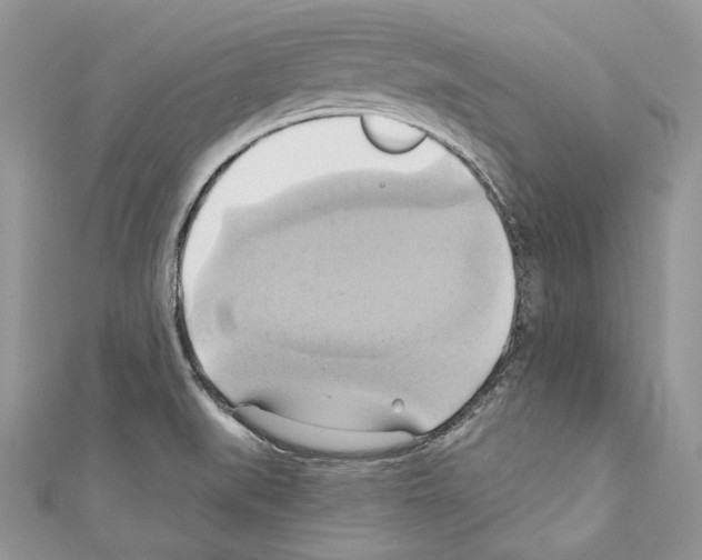 X0000110681519200907241033