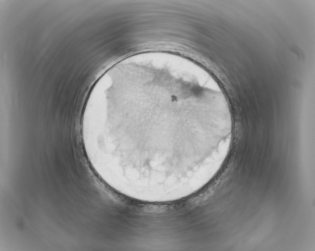 X0000110681521200907241033