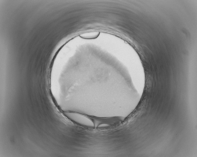 X0000110681522200907241033