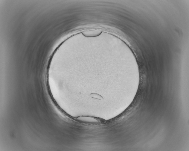 X0000110681523200907241033