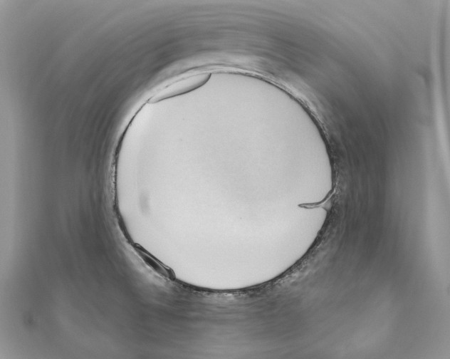 X0000110681524200907241033